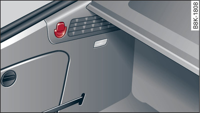 Luggage compartment (right side): Retaining hook